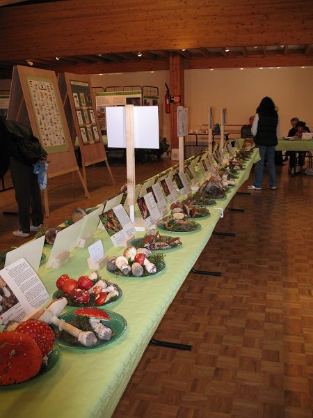 2009 10 Expo champignons de Clairefontaine 27